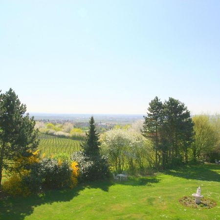 Krone Am Park - Gaestehaus Des Hotel Krone Alzenau in Unterfranken Εξωτερικό φωτογραφία