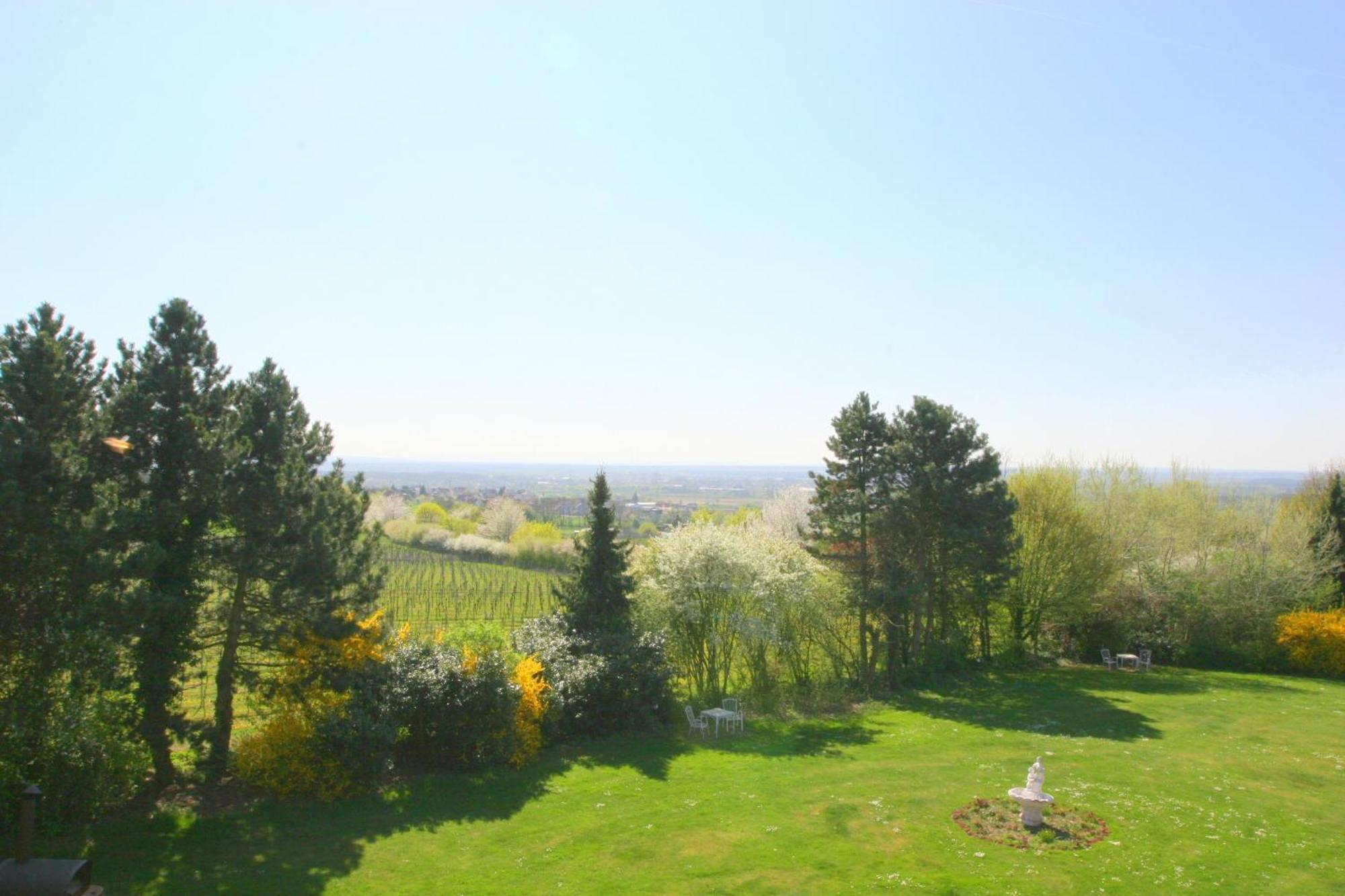 Krone Am Park - Gaestehaus Des Hotel Krone Alzenau in Unterfranken Εξωτερικό φωτογραφία